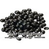 大粒黑豆|绿瓤黑豆|绿仁黑豆|保健黑豆|黑珍珠