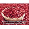 日本大粒红小豆|大粒红豆|红小豆|珍珠红